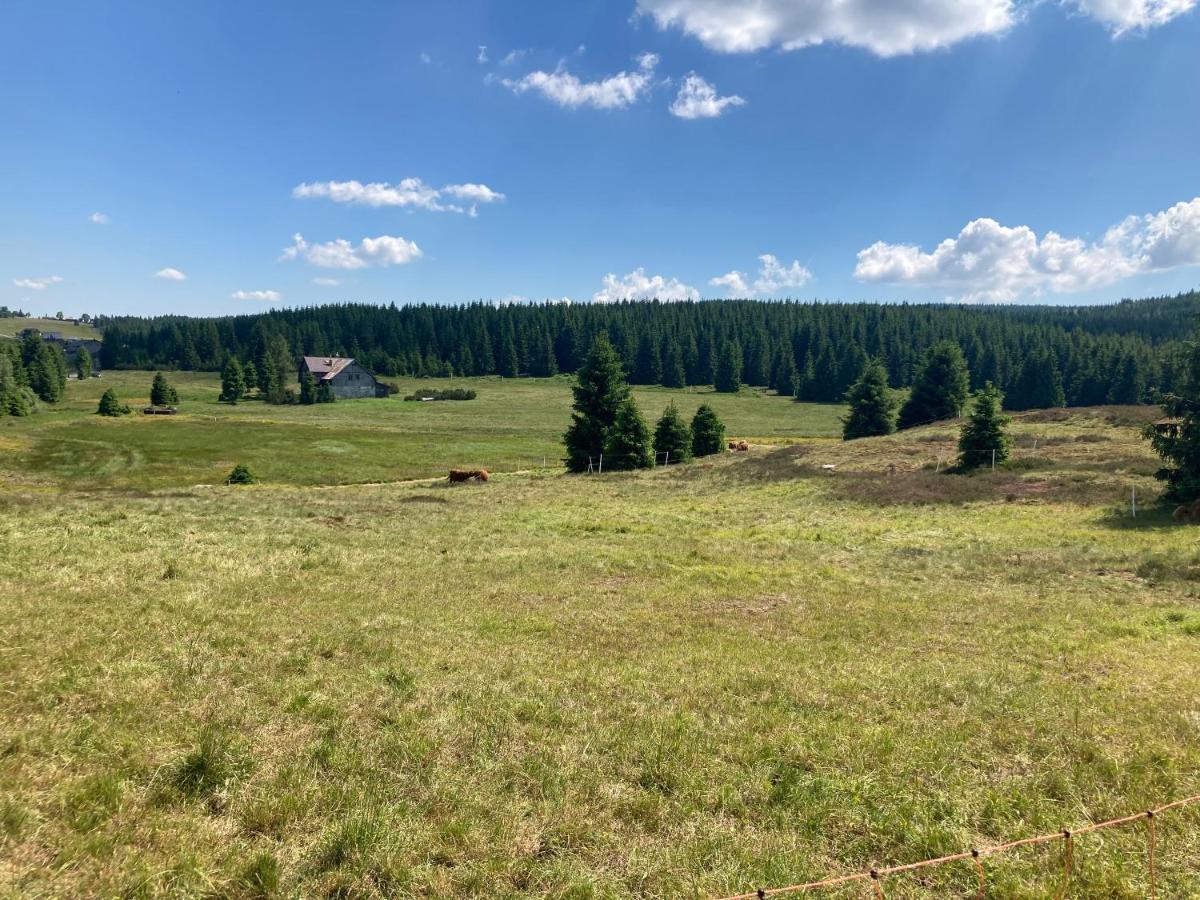 Apartmán V lese Bedřichov Exterior foto